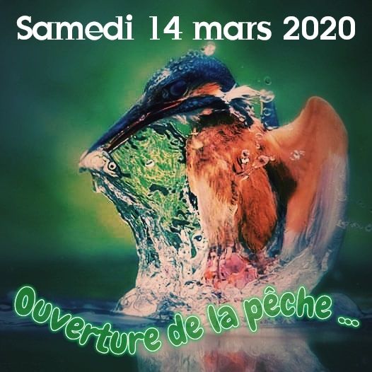 Dernière ligne droite avant l'ouverture...