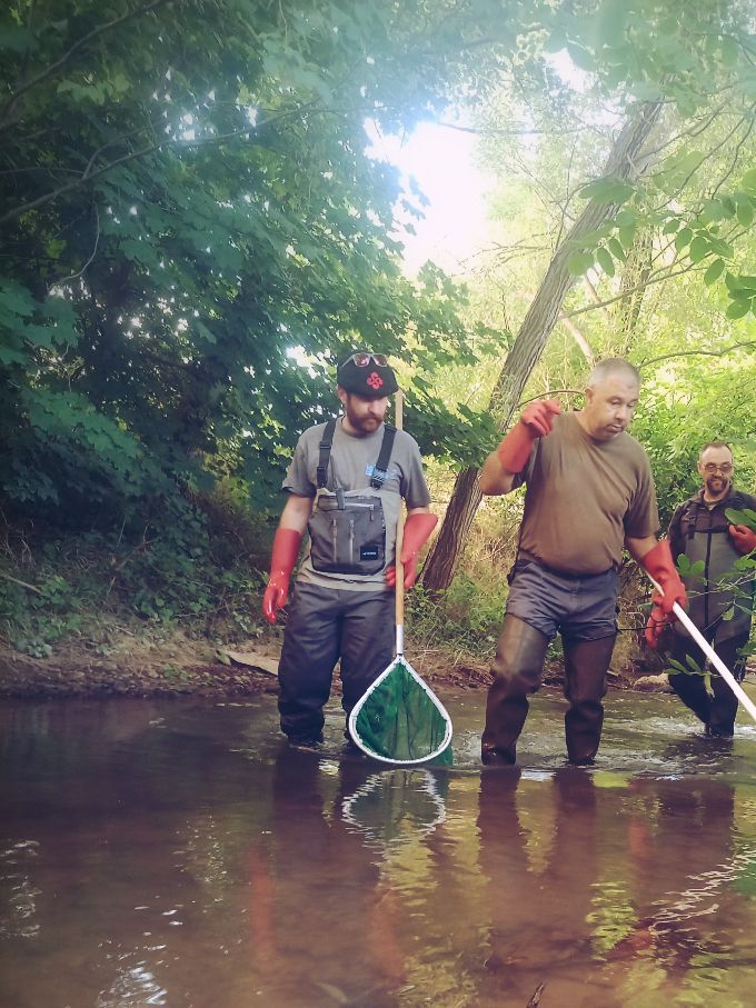 Pêche électrique pour récupérer 50 alevins. Ce prélèvement a pour objet la recherche de truitelles préalablement marquées à l'Alizarine ce printemps...
Plus de photos sur notre page Facebook La Truite de l'Oron