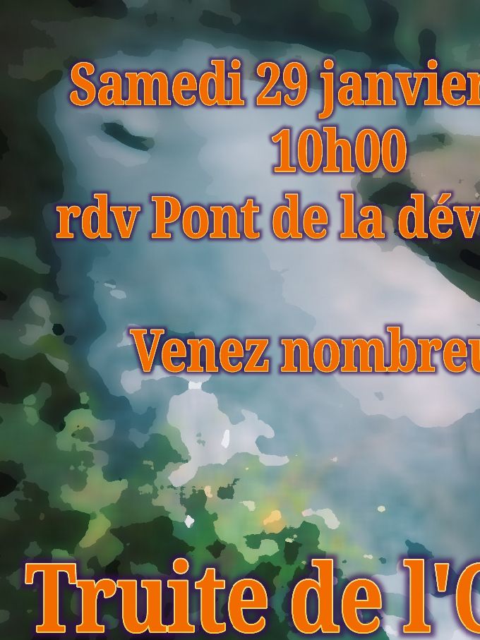 Petit poisson deviendra grand...