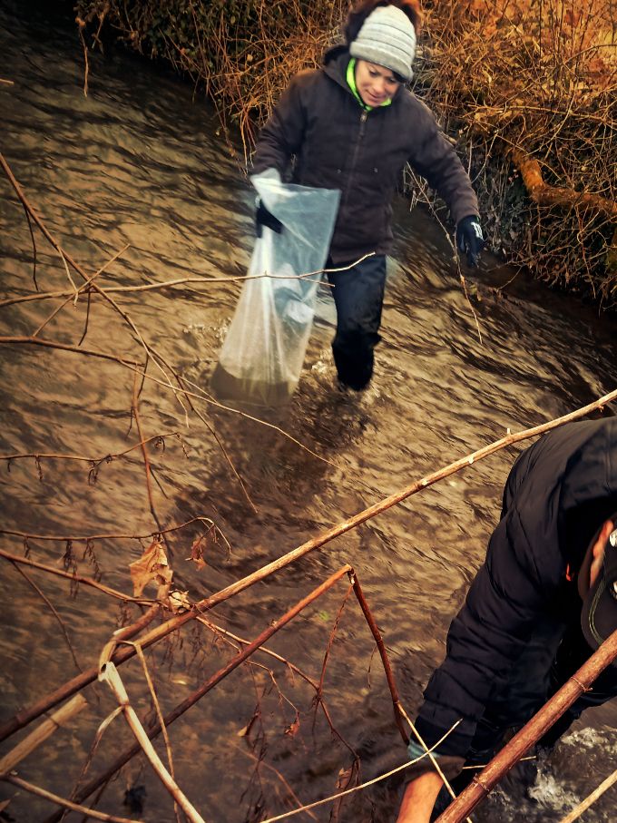 Petits poissons deviendront grands...
Environ 60000 alevins à résorption ont été soigneusement répartis sur la Maladiere et le Fayaret.
En avril, ce seront 40000 autres alevins qui viendront à leur tour, profiter des eaux fraîches de l'Oron...