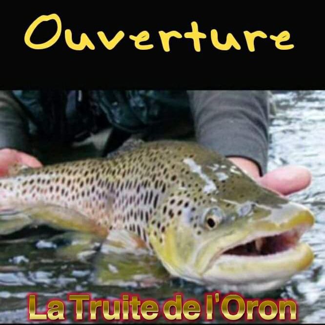 L'ouverture... l'instant magique où, à nouveau, le pêcheur fait corps avec la rivière. Le bruit de l'eau, l'appât qui frôle le fond... Le cœur qui bat...

Pour vos cartes, c'est uniquement par internet via le site de la fédération nationale : cartedepeche.fr
Si, l'an passé, vous êtes passés par un dépositaire, pensez à récupérer votre compte et à utiliser le numéro d'adhérent qui s'y rattache...

Bonne pêche à tous!...